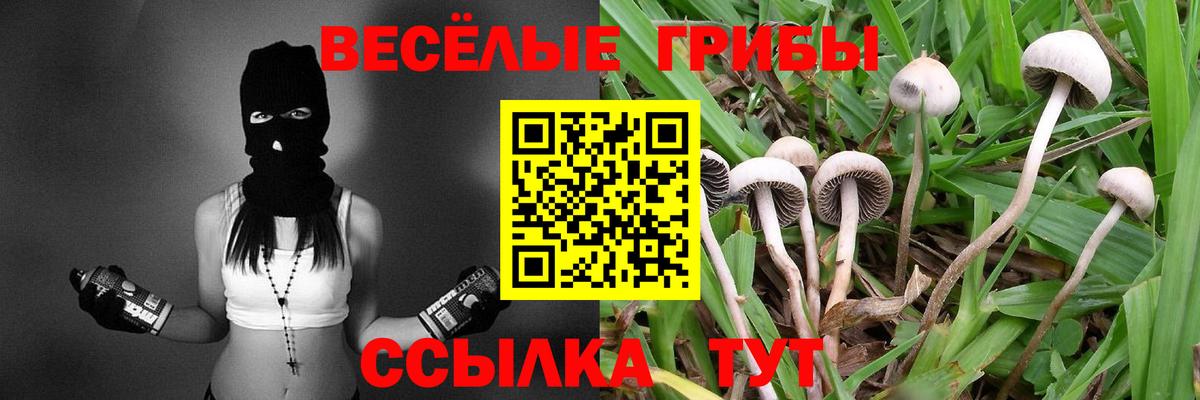 Галлюциногенные грибы Magic Shrooms  Псилоцибиновые грибы мицелий  Сафоново  Вход с VPN 